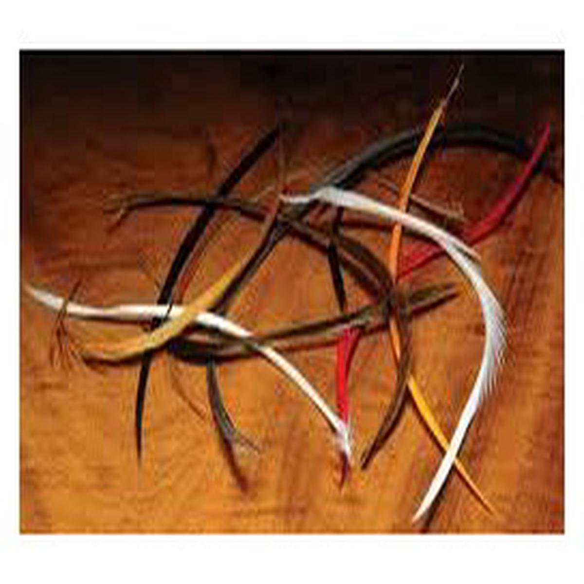 Stripped Goose Biots - Olive - Fly Fishing