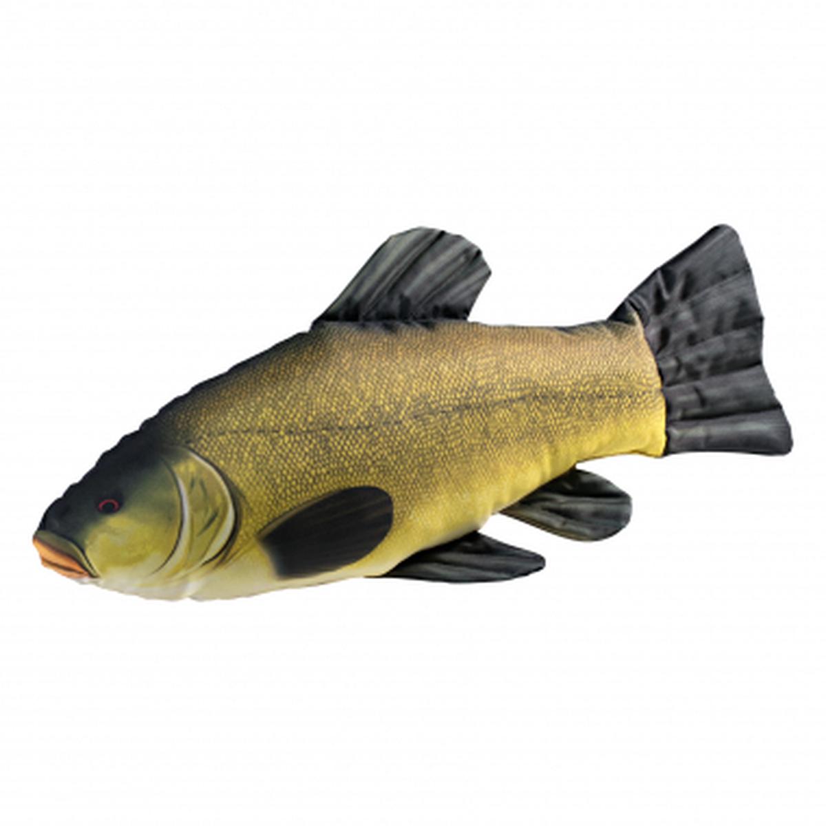 Cushion tench