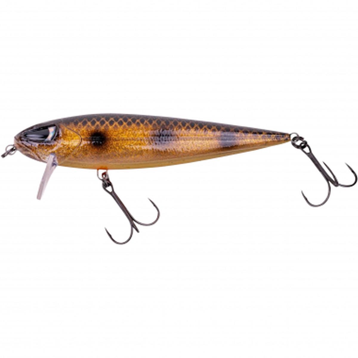 Dundee (Spotted Bullhead)