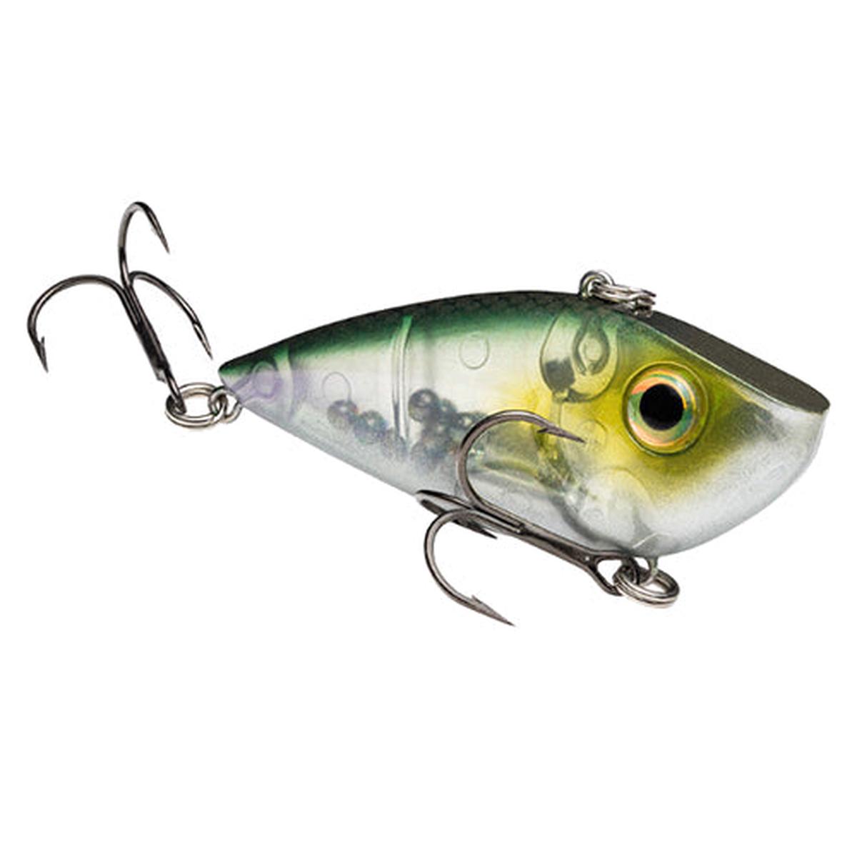 Red Eyed Shad,clearwater Minnow