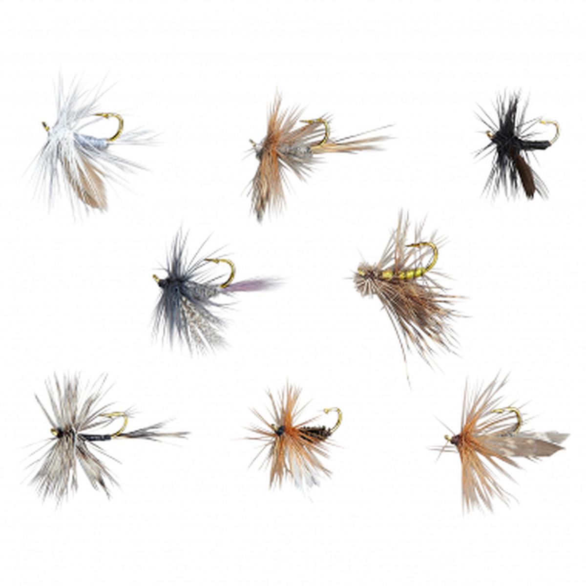 Dry Fly Assortment