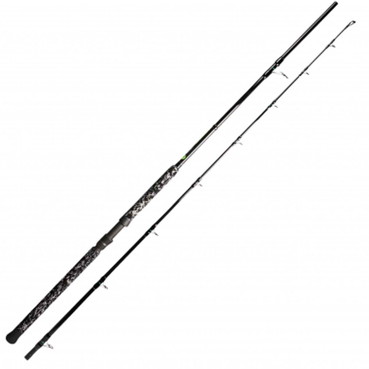 Catfish rod Buddy