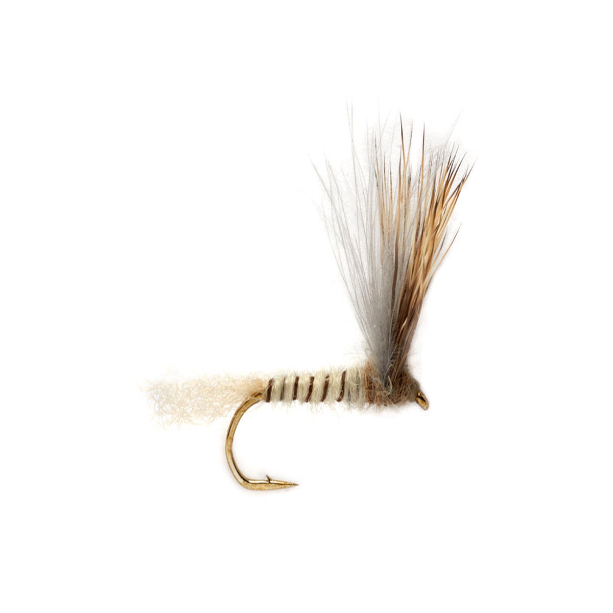 Fulling Mill Procters Stuck Shuck Compara May