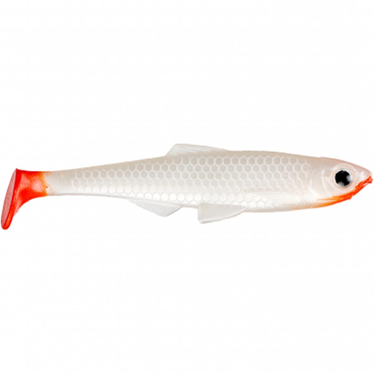 Shad - Hot Albino