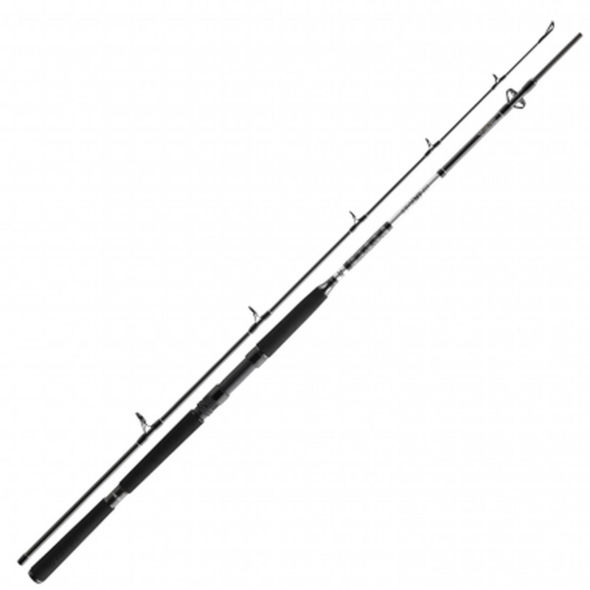 Boat rods BG Offshore Boat