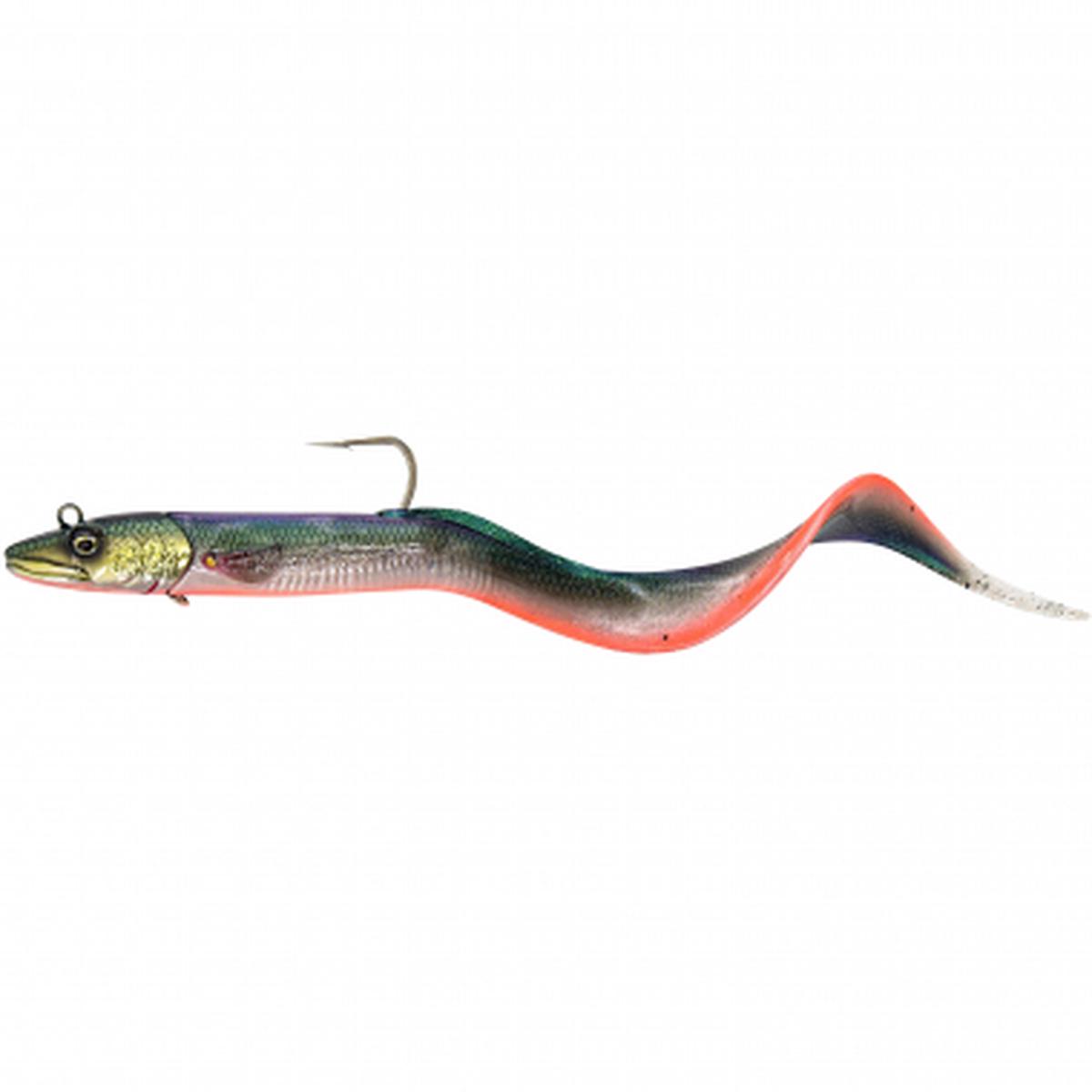 Conger Eel (Firebelly)