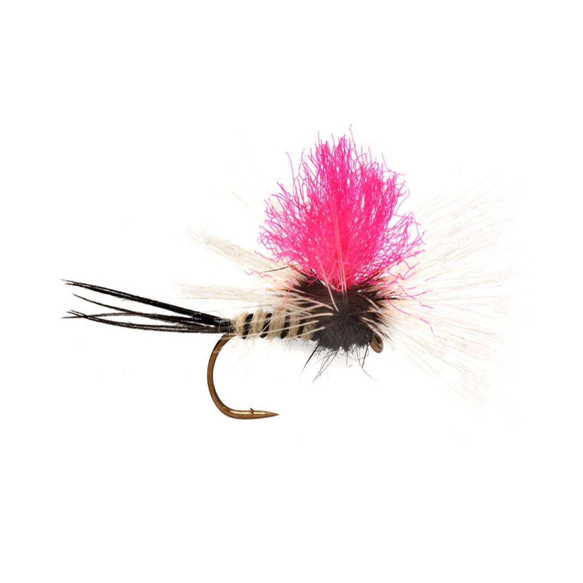 Fulling Mill Jackies Spent Pink Para May