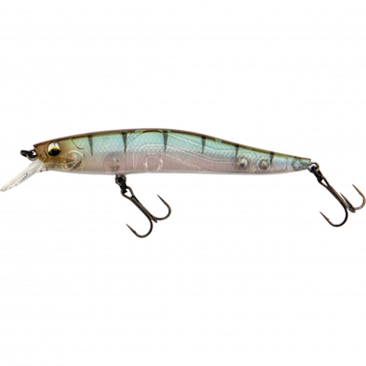 KFI Flash Vibe 98 (Baby Perch)
