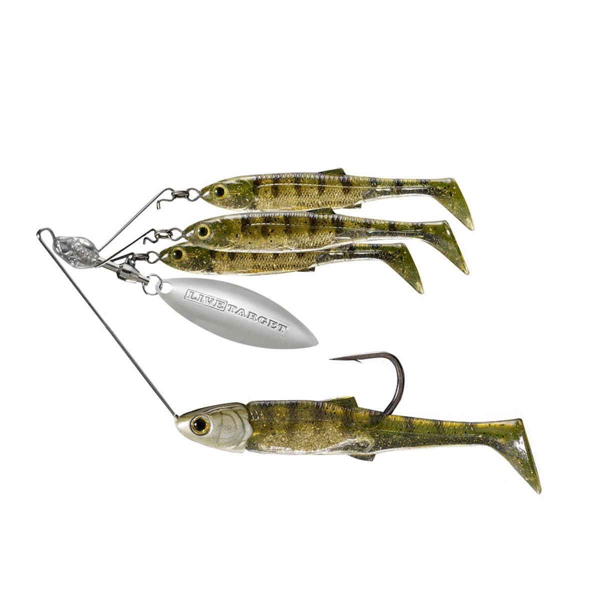 Minnow,small,1-4oz,spr,ms,gld Prch,3-0
