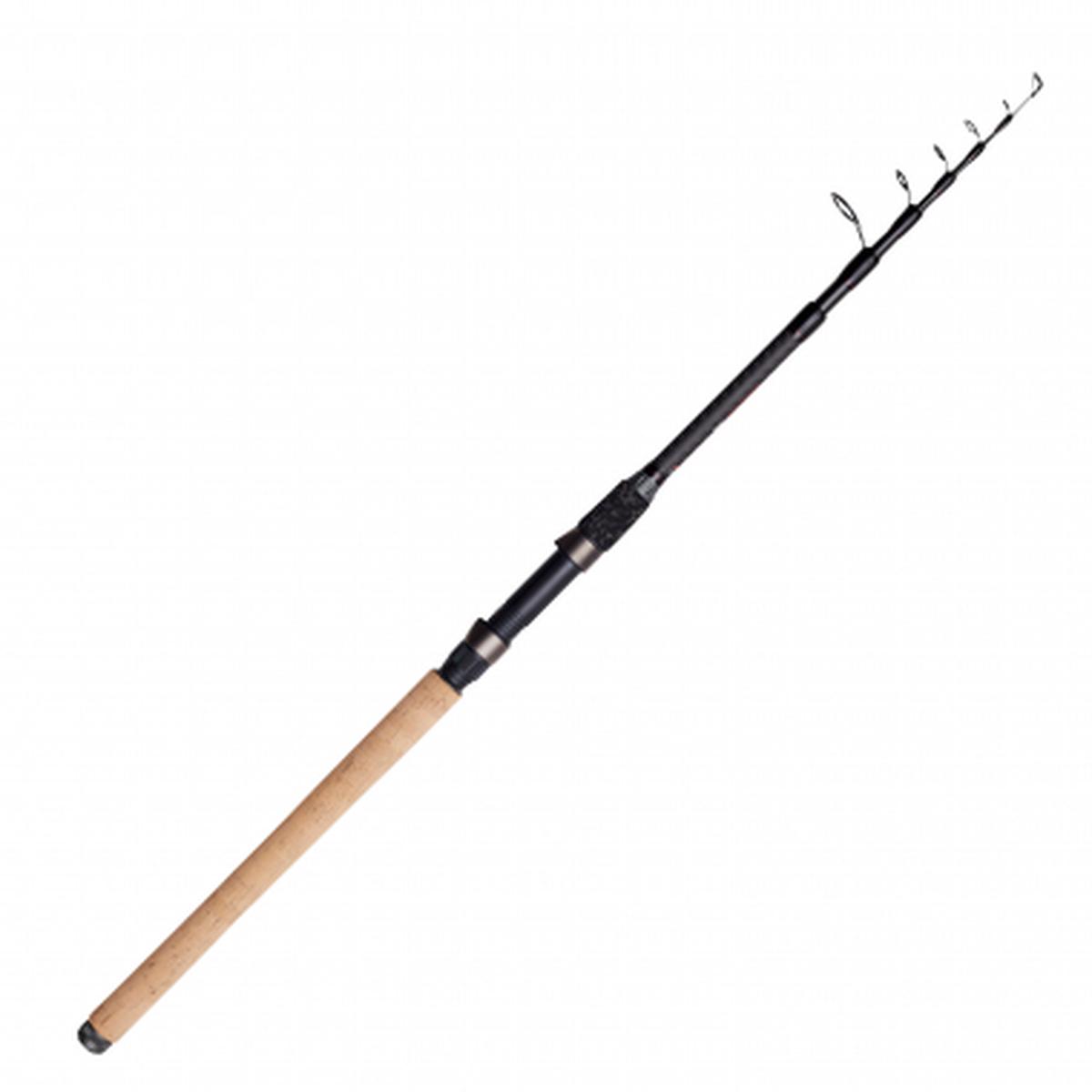 Fishing rod Shadow Tele (length: 300 cm)