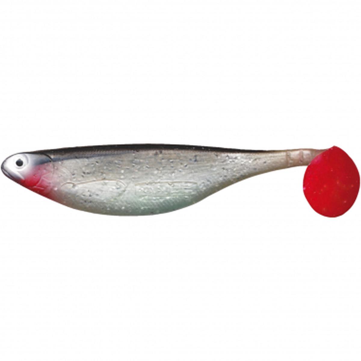 Trouble Shad (Natural Roach)
