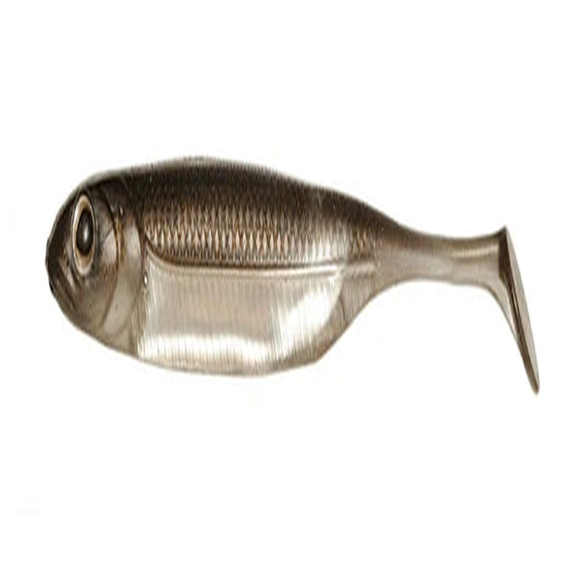 Fish Arrow Flash Jerk Shad 4 Inch Soft Plastic Lure