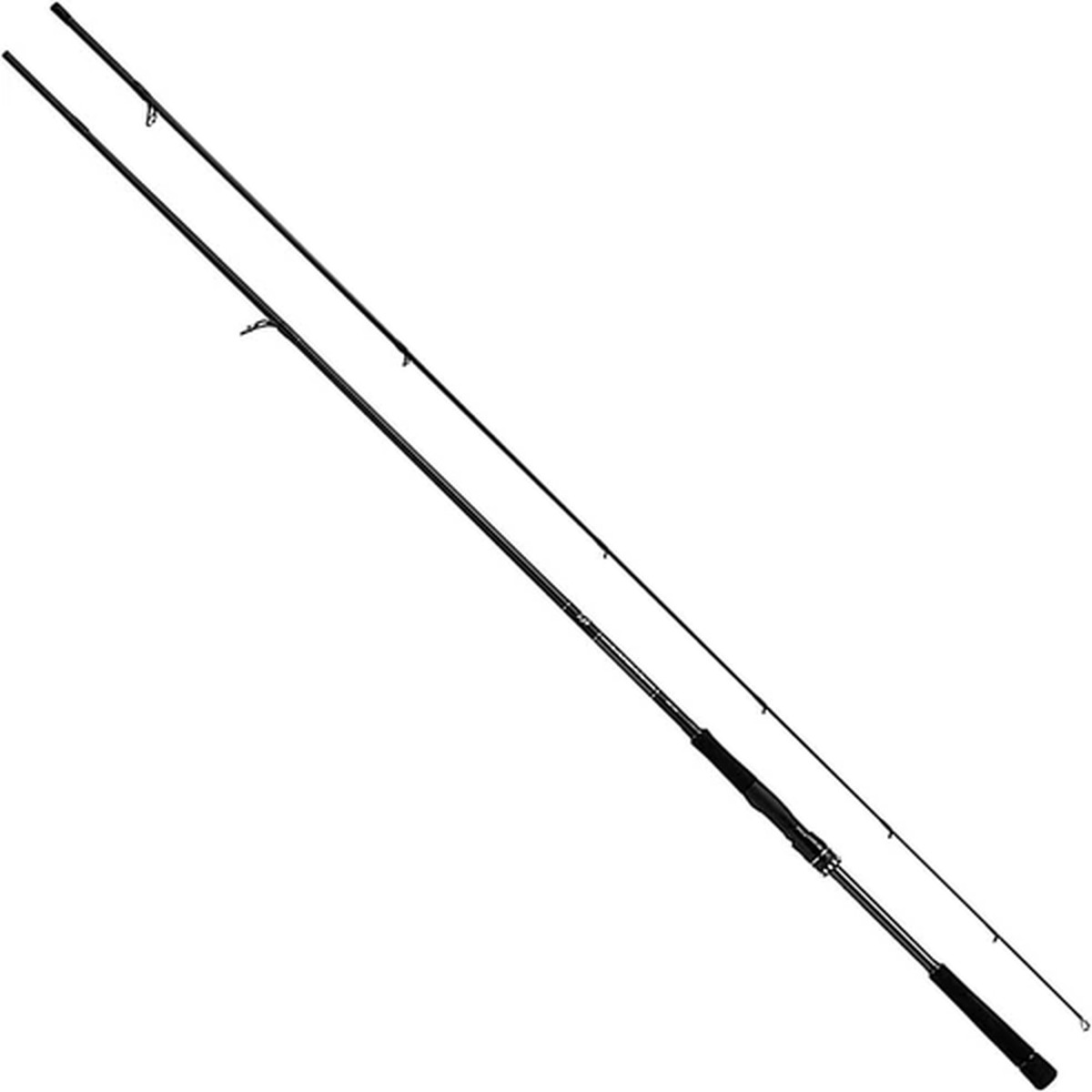 DAIWA Sea Bass Rod 21 Lubrax AGS 100ML