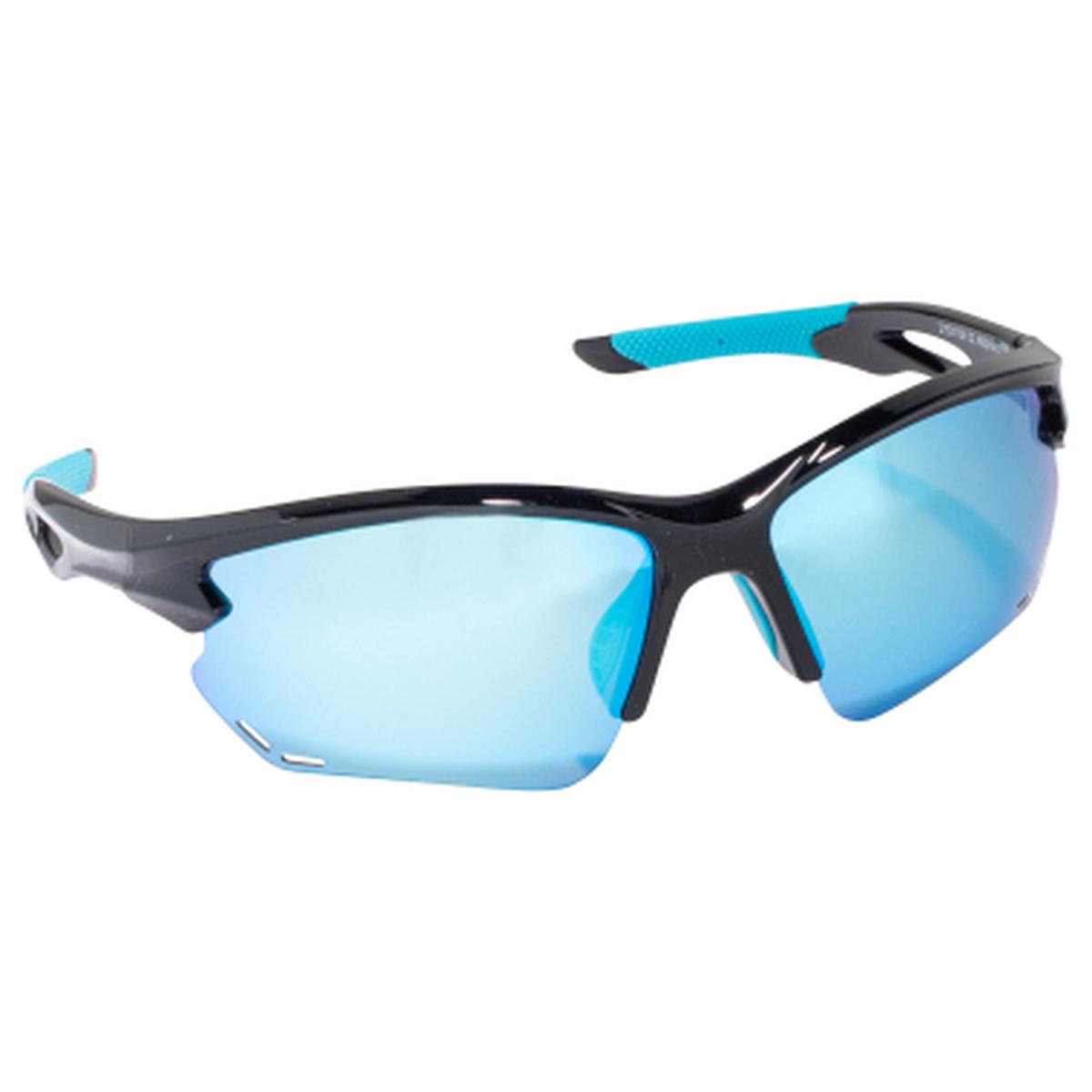 Pole Goggles (Black/Blue Lenses)