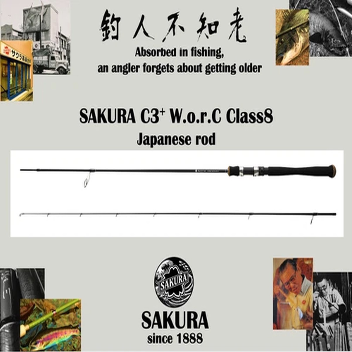 Japnese Spinning Rod Metal Jig Casting All Saltwater Fish 9ft Carbon SAKURA JDM