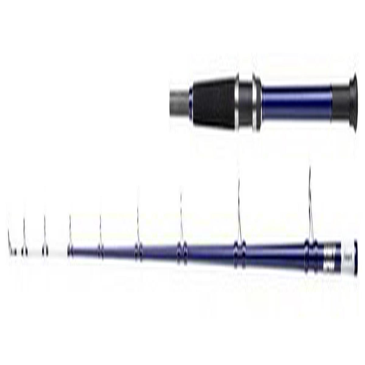 9' Shakespeare Salt Uptide Rod