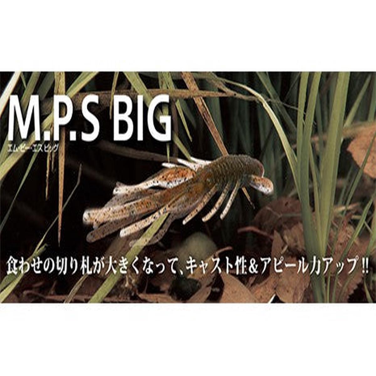 BottomUp MPS Big