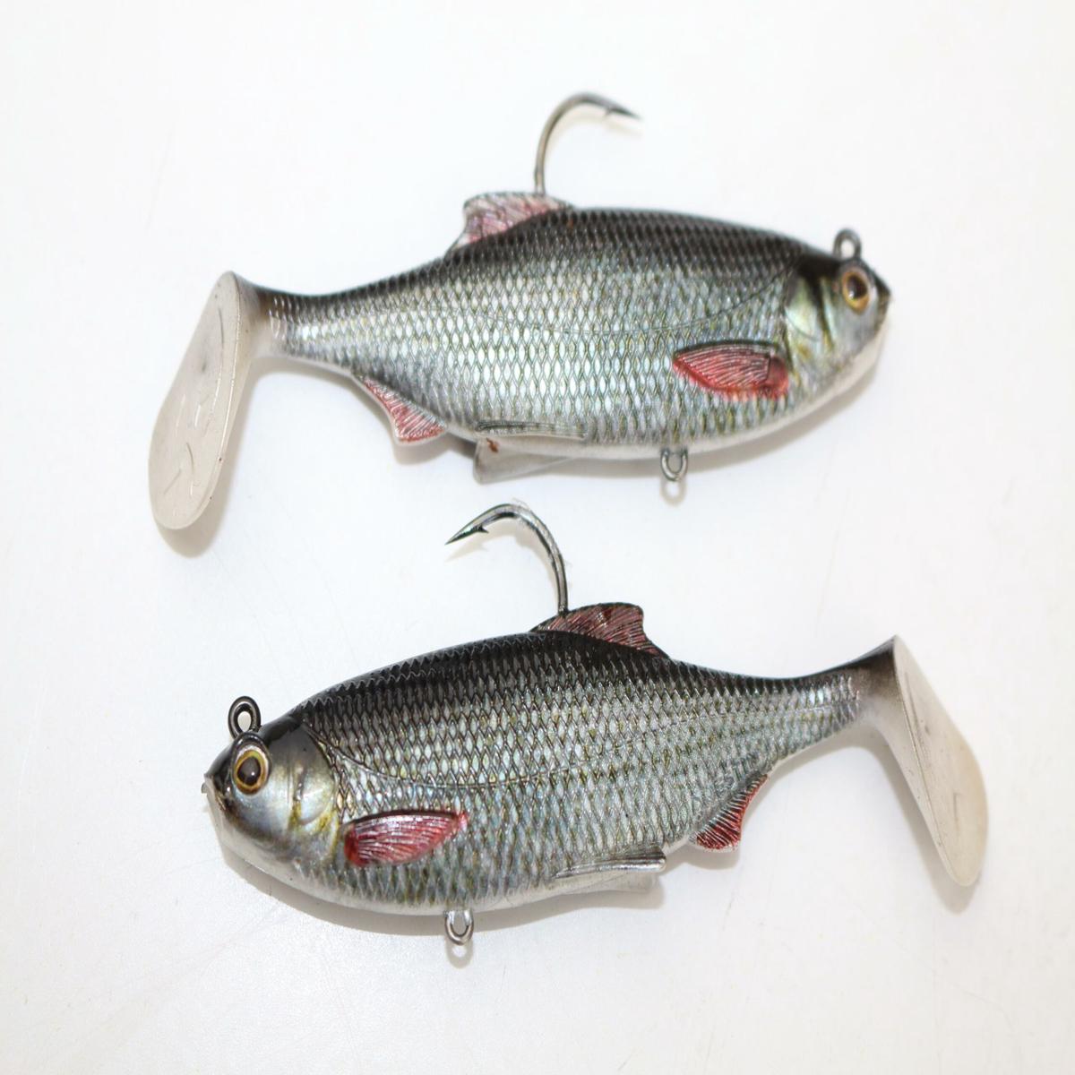 Westin Ricky The Roach Shadtail Real Roach 7cm 9g