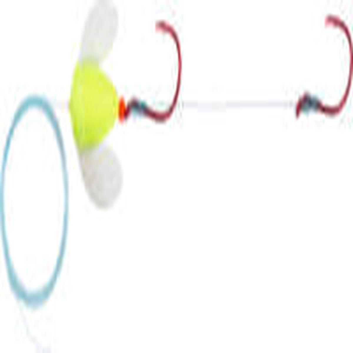 Yakima Bait Spin-N-Glo Walleye Rig